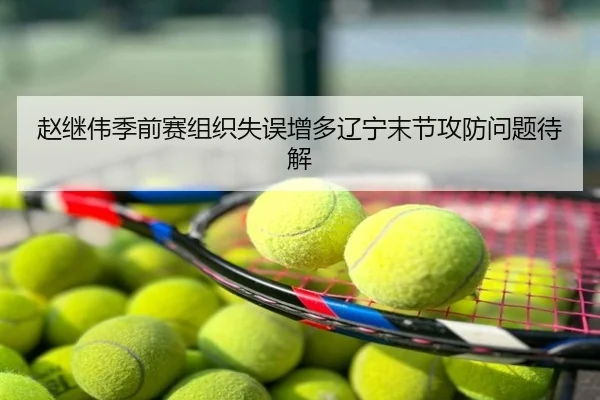 赵继伟季前赛组织失误增多辽宁末节攻防问题待解
